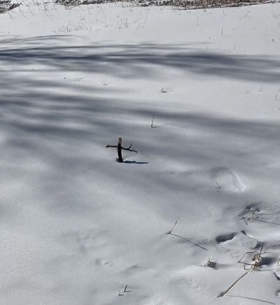 photo showing the cross on the grave, shadows of trees on the snow, and what might have been a foot melted an refrozen boot print